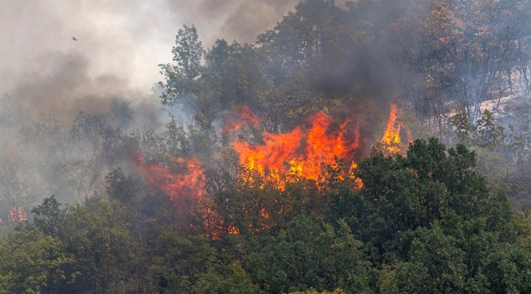 Najgori požari u Turskoj ove godine, gore domovi, ljudi bježe, ima ozlijeđenih